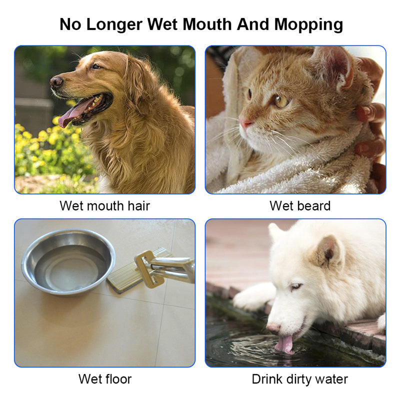 1.5L Pet Anti-Overflow Bowl | Feeder & Dispenser